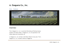 Tablet Screenshot of aoseguera.com